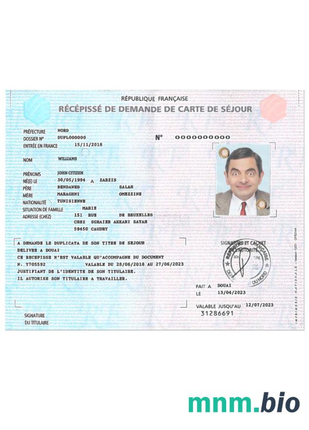France residence card application receipt download, format PSD
